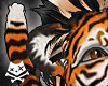 Orange Cream Tiger Ears