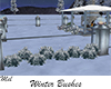 Winter Bushes