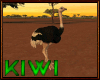 Animated ostrich