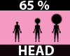 Scaler Head 65 %