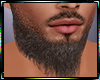 Brown Beard