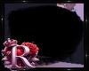 !R! Bear B Tail
