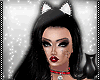 [CS] Xmas Kitty