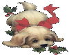 Christmas Pup (animated)