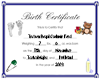 Treison Birth Certificat