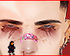 Asio brows