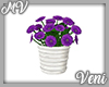 *MV* Flowers Purple