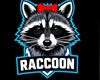 recep raccon