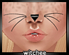 [W] FaceTat-Pussycat