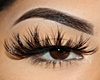 Top Lashes 2