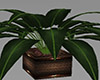 Planter