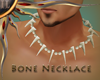 (IL) Bone Necklace
