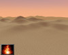 HF Tahari Desert Sunset