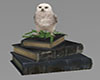 Books With Owl