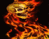 Fire and Skull