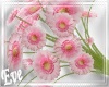 ♣ Pink Daisy Bouquet