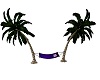 Purple Palm Swing