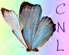 [CNL]Filler butterfly 2