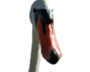 Swan Face