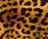 6v3| Leopard Skin Rug