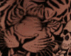 Tiger+Skulls L Side Tat