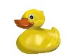 ANIMATED RUBBER DUCKY