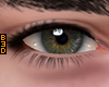 Asteri Green Dusty