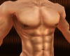 (H) Hercules Muscle Top