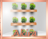 -ak abi Shelf Plants