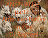*RF*DJRaph-AmericNat p2