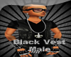 [RB] Black Vneck vest