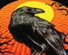 Crow On Pumpkin+Tats