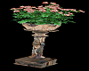 FLEURS NATIVE
