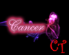 [CT]Cancer Pink