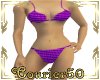 Complete Purple Bikini