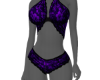 panty/bra set purp