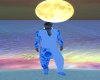 Haut blue et wight H