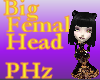 PHz ~ Big Female Head