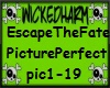 H! ETF-Picture Perfect