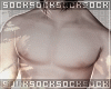 𝒔. muscle body