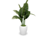 Green Plant Pot