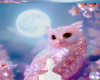 owl ♡