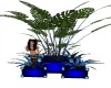 blue skype plant