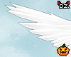 D. Sexy Angel Wings!