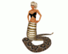 Rattlesnake tail F