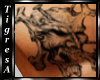 [TG]Skulls2 Male Tattoos