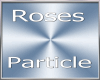 RosesParticle / rr