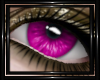 !T! Eyes | Elara P