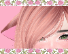 Cat Ears Rosegold