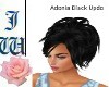 JW Adonia Black Updo